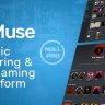 DigiMuse - Music Streaming Platform