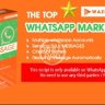 Waziper - Whatsapp Marketing Tool - Stackposts